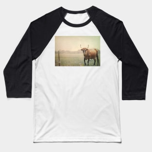 Lone Cow photograph Baseball T-Shirt